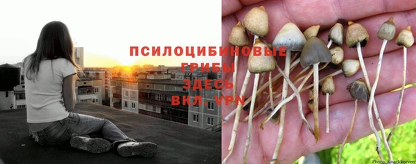 каннабис Гусиноозёрск