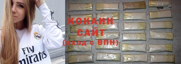 ПСИЛОЦИБИНОВЫЕ ГРИБЫ Гусев