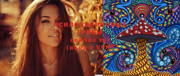 ПСИЛОЦИБИНОВЫЕ ГРИБЫ Гусев