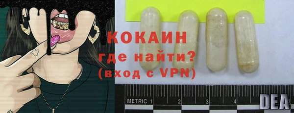 ПСИЛОЦИБИНОВЫЕ ГРИБЫ Гусев