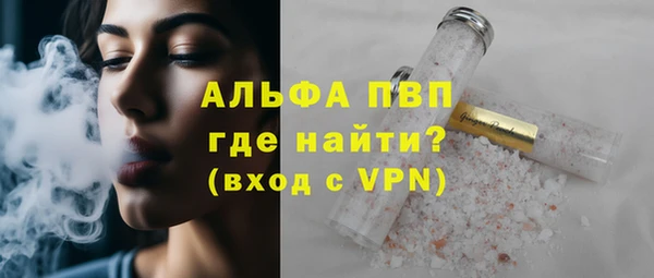 ПСИЛОЦИБИНОВЫЕ ГРИБЫ Гусев