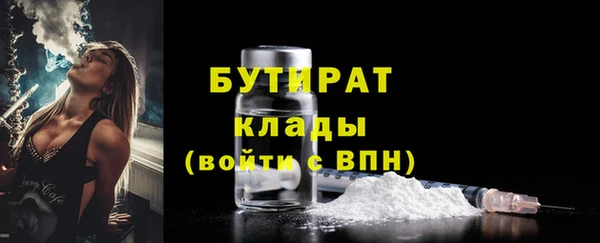 ПСИЛОЦИБИНОВЫЕ ГРИБЫ Гусев