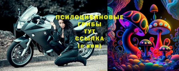 ПСИЛОЦИБИНОВЫЕ ГРИБЫ Гусев