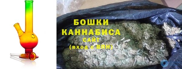 ПСИЛОЦИБИНОВЫЕ ГРИБЫ Гусев