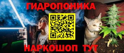 наркотики Гай