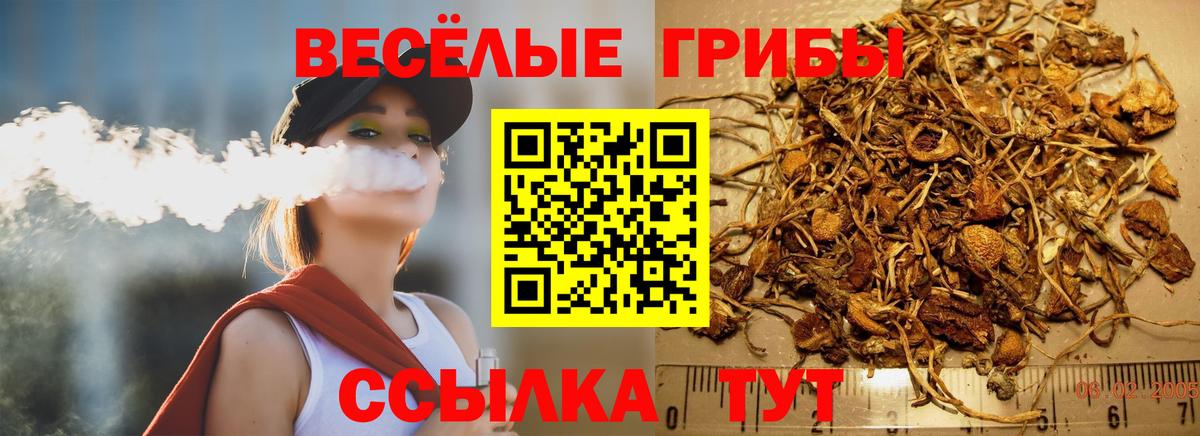 Галлюциногенные грибы Psilocybe  Вход с VPN  Радужный 